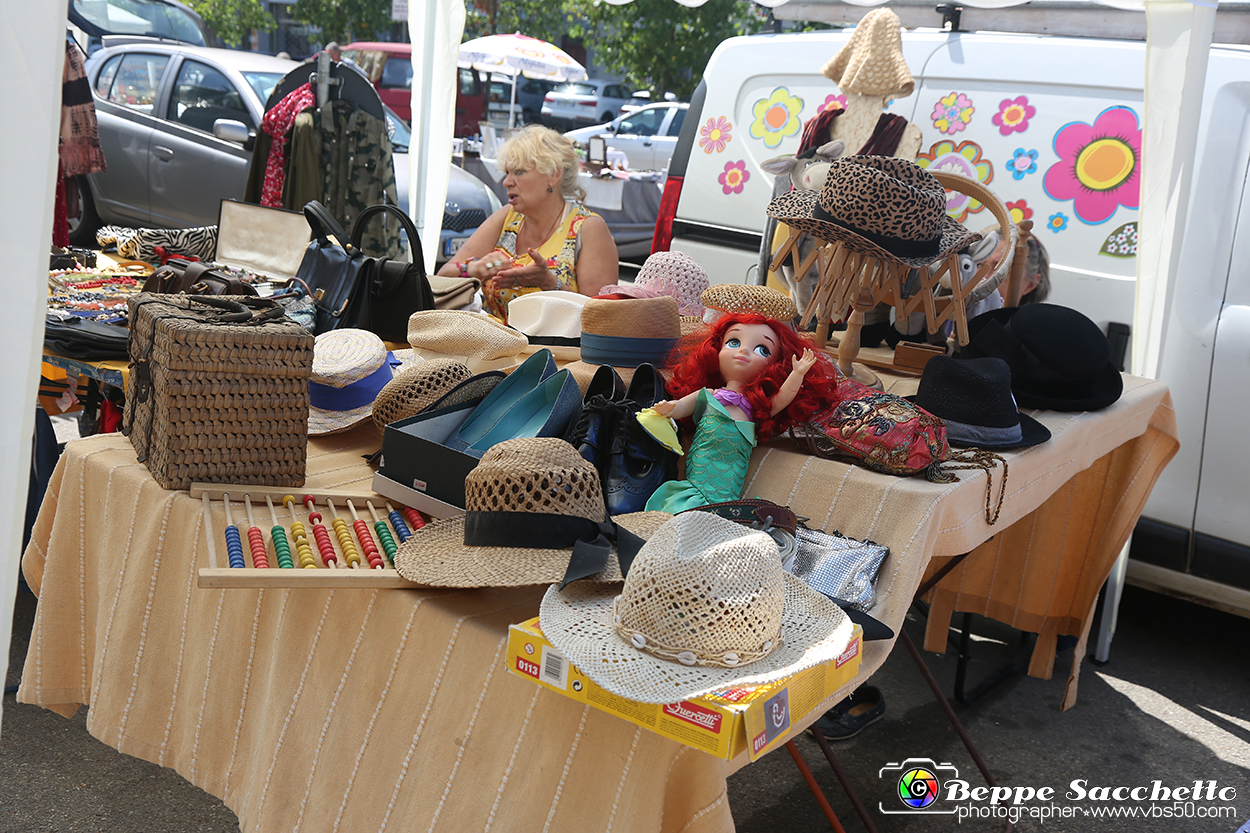 VBS_0042 - Mercatino dell'Antiquariato e dell'Hobbismo - Luglio 2023.jpg